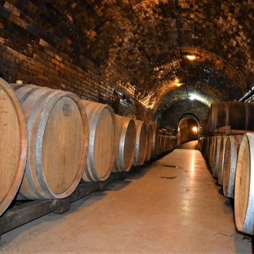Vintop-Karkó-Pivnica-a-archív-12