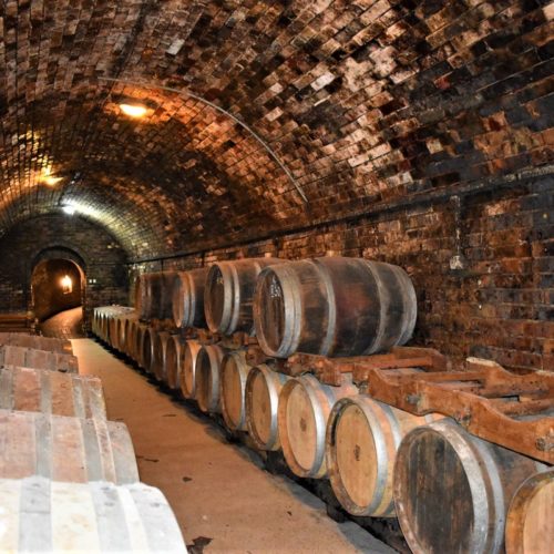 Vintop-Karkó-Pivnica-a-archív-13