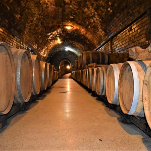 Vintop-Karkó-Pivnica-a-archív-14