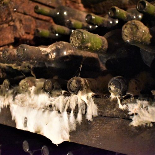 Vintop-Karkó-Pivnica-a-archív-19