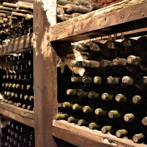 Vintop-Karkó-Pivnica-a-archív-20