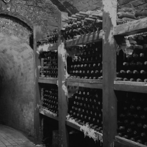 Vintop-Karkó-Pivnica-a-archív-21