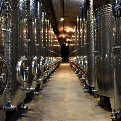 Vintop-Karkó-Pivnica-a-archív-5